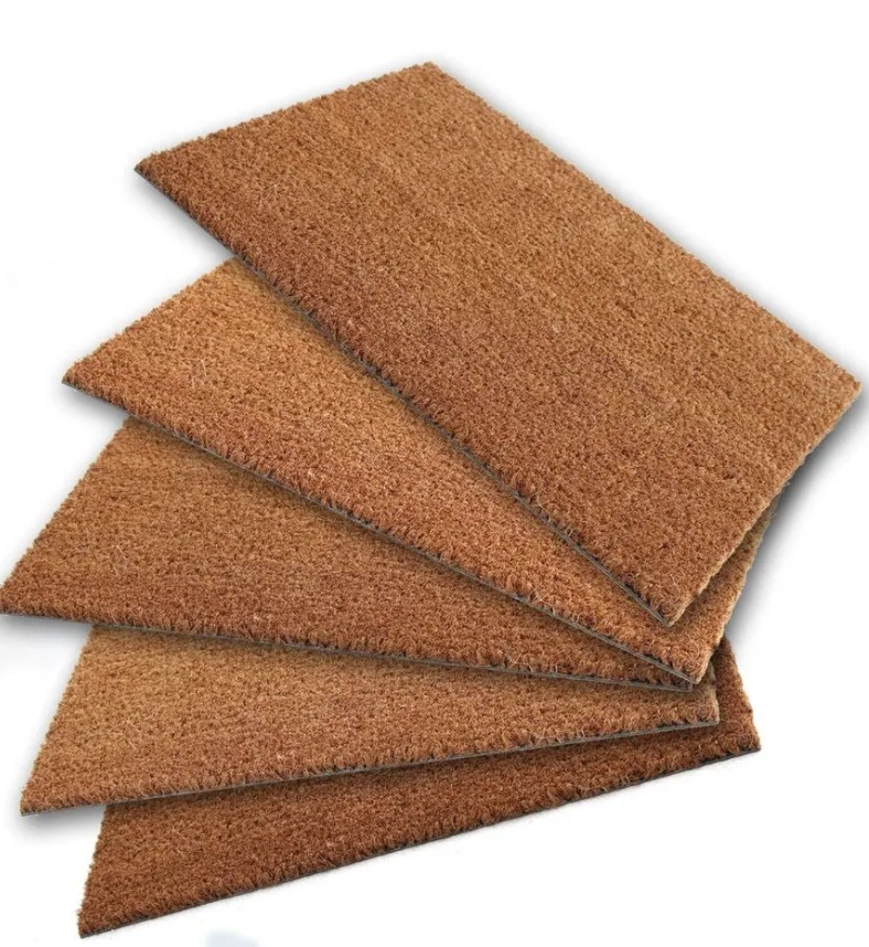 Coco Chips